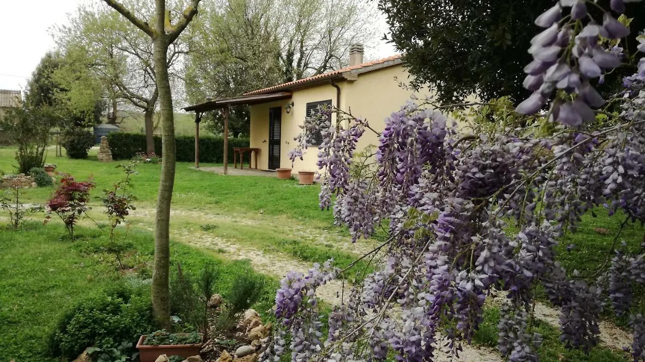 Daire Agriturismo Cavallin Del Papa Capalbio