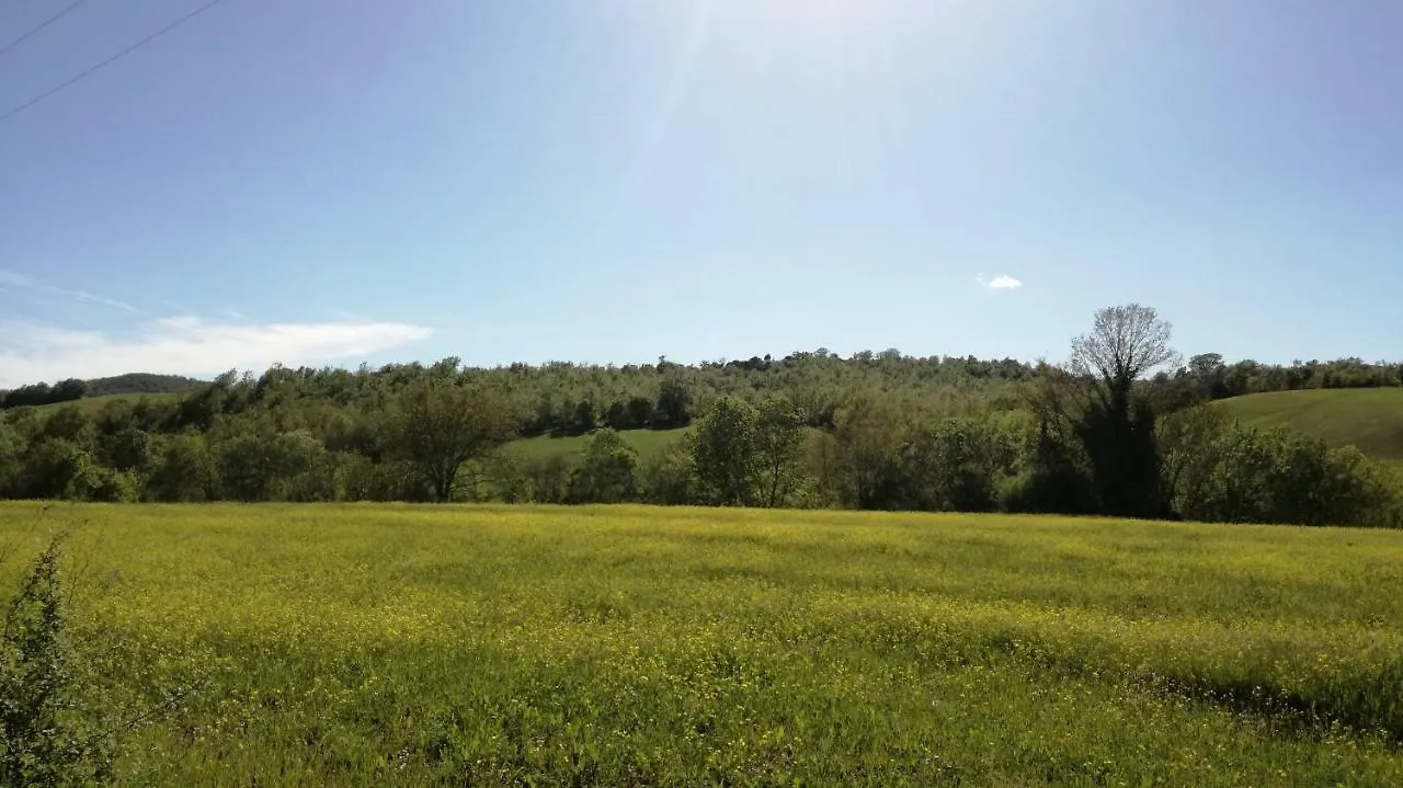 Agriturismo cavallin del papa Capalbio