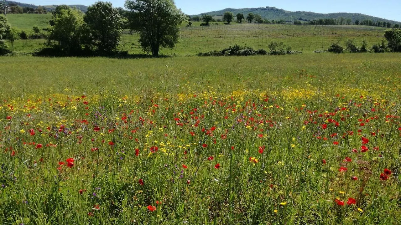 Agriturismo Cavallin Del Papa Capalbio Apartment