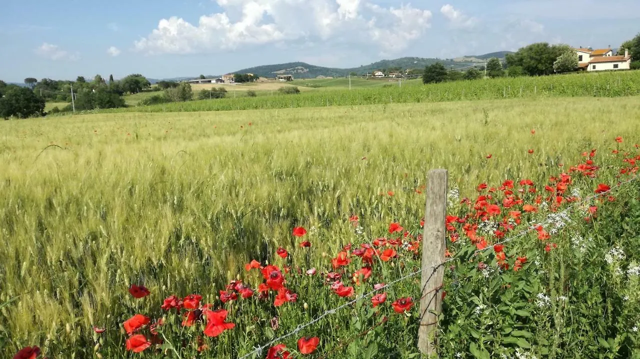 Agriturismo Cavallin Del Papa Capalbio Apartment