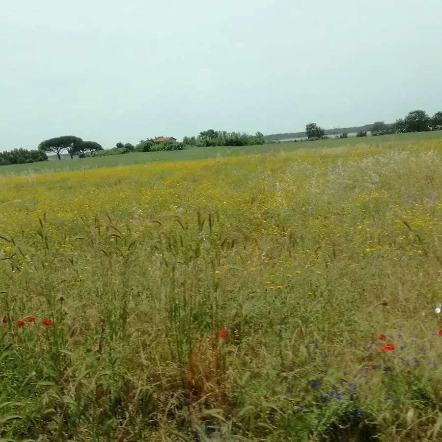 Agriturismo Cavallin Del Papa Capalbio 0*,